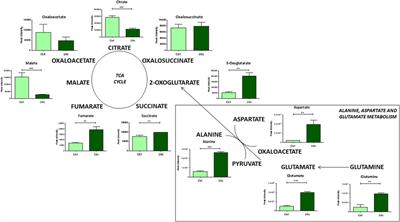 Mechano-induced cell metabolism disrupts the oxidative stress homeostasis of SAOS-2 osteosarcoma cells